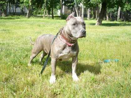 Marlen Brao Franchesco