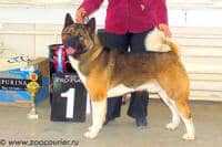 RUS/RKF/EST/LT/BLR/MLD/LV/BG/BALT CH, RUS JCH Otto
