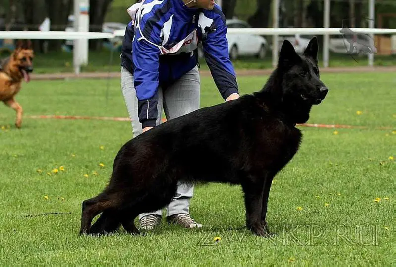 Zilber Wasserfall ADRIANA