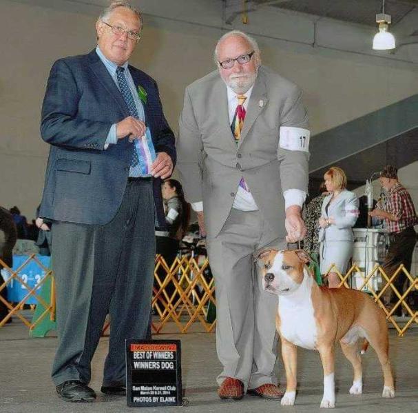 Wild West's Gunslinger