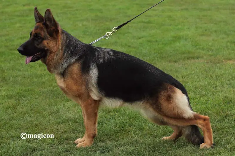 SG 1 RO Bora v Haus Edmond