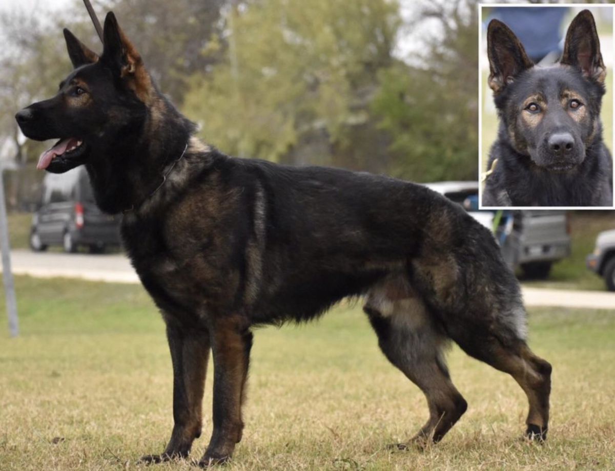 V Pike van Arne's Hoeve