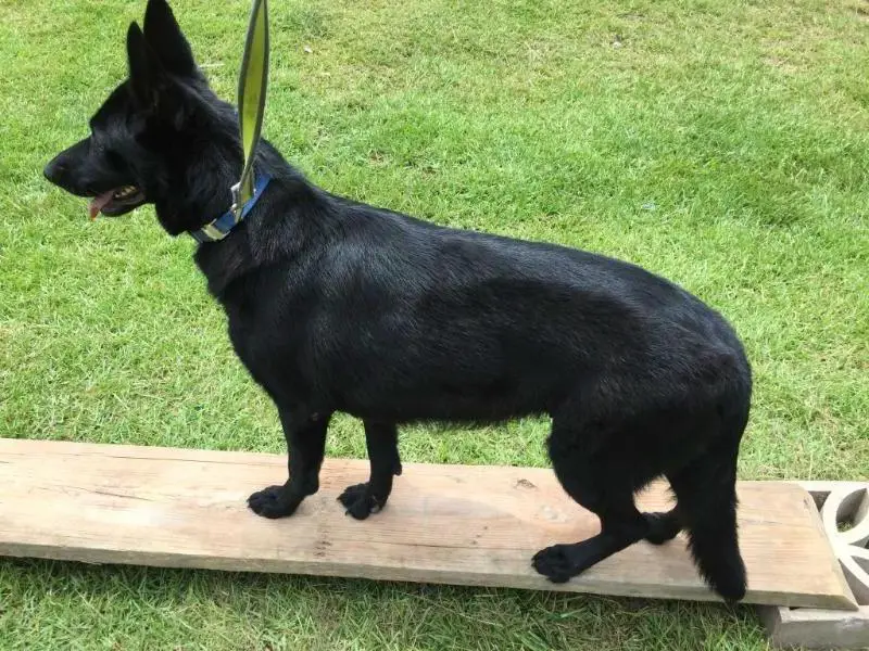 CAUSIN A RUCKUS @ VPK