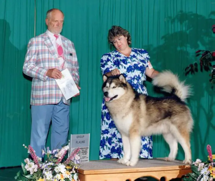 AKC Ch. Kipnuks Osiris of Kilbuck