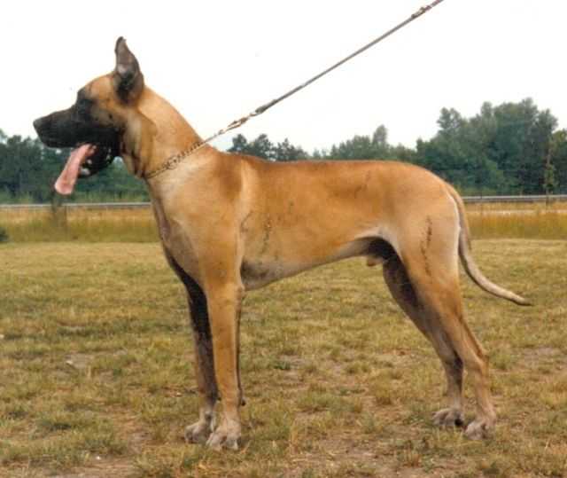 Varus von der Storchenwiese