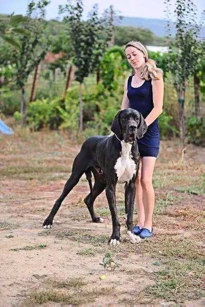 Puerto Rico de Alexoana