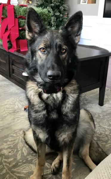 Zoey Von Silverstein