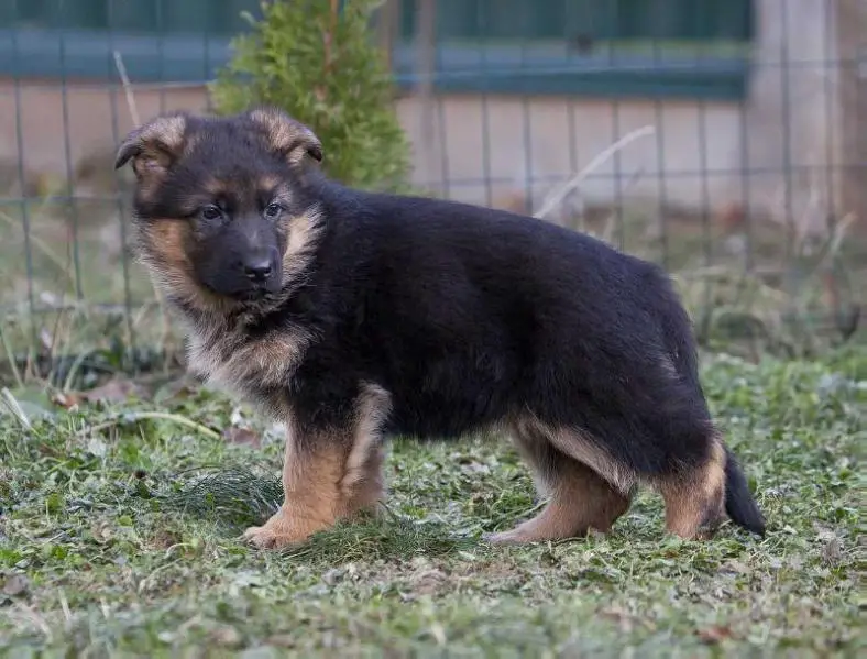 Oktiabrina von Roten Blitz