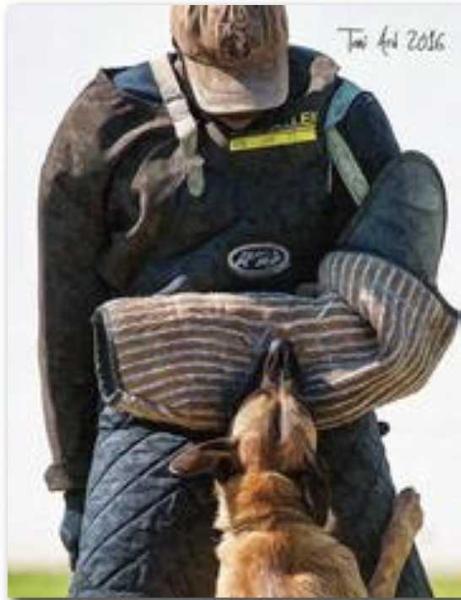 Jessie Des Ombres Valeureux