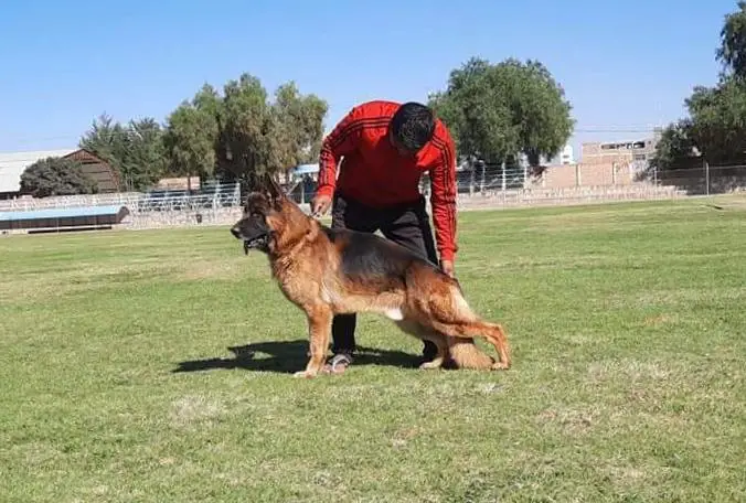 Mardock vom Ezenthal