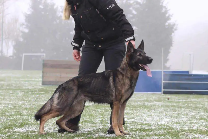 Orange von Electric Area