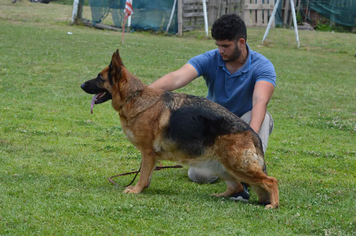 ODILA VON HAUS GRAFANT