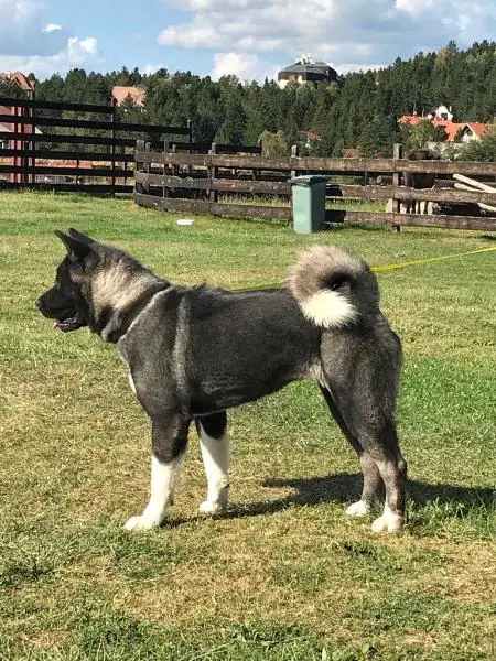 Fearless Guard Adorable Smile