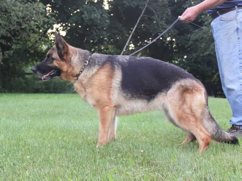 Haifa vom hohlen Huegel