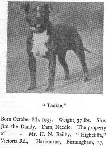 Tackle