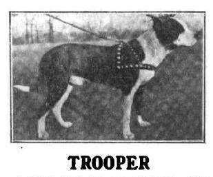 Barnhart's Trooper