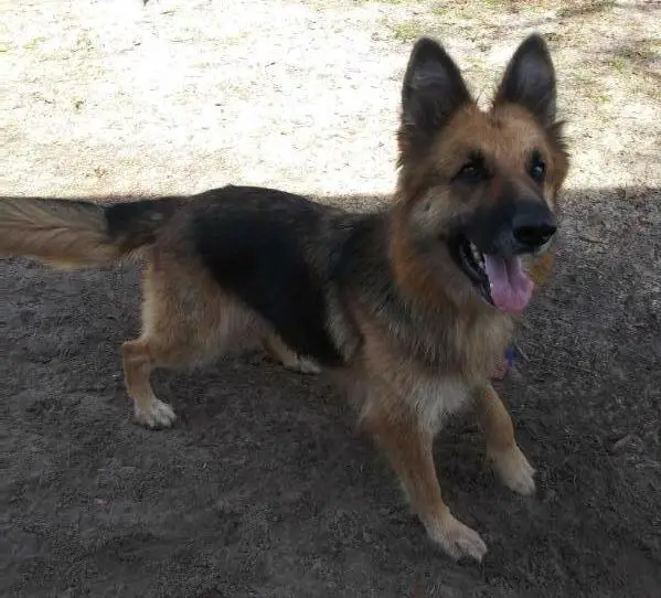 Bella's Glowing Twilight