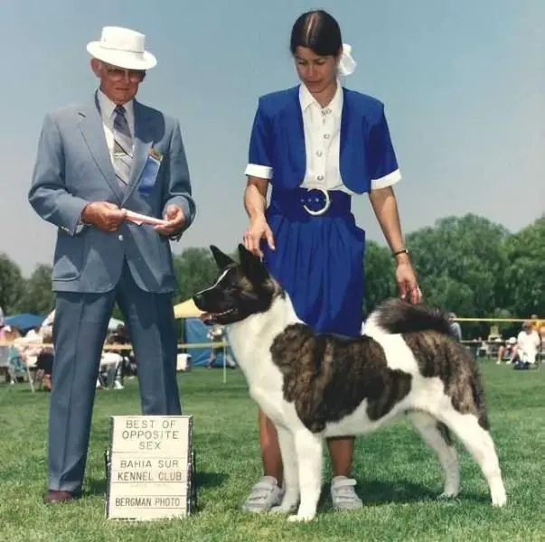 AKC CH Jer-Mar’s Sun Rae Shasta Kola