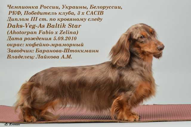 CH RUS, RKF, UKR, BLR  CW Daks-Veg-As Baltic Star
