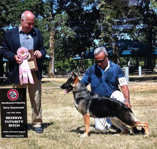 Reserve Best in Futurity Hickoryhill's Leda v Laslar Windfall