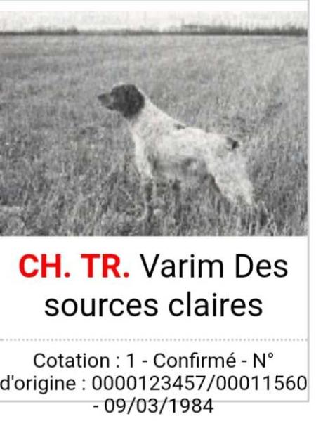 CH.CS. TR. VARIM des sources claires