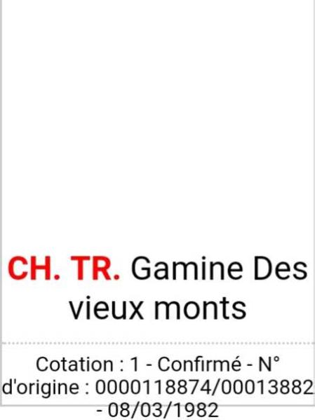 CH.GT. TR. GAMINE des vieux monts