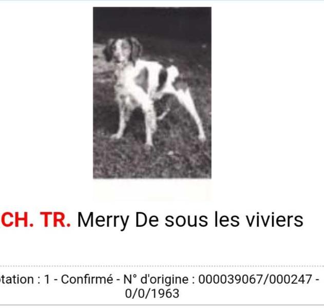 CH.TR. MERRY de sous les viviers