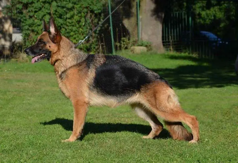 Tereza z Kadaňského podhradí