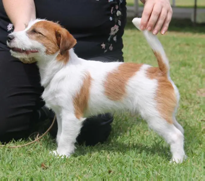 Kadama Glass Half Full