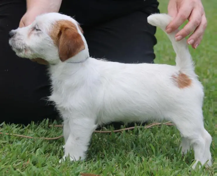 Bernloch Smart And Sassy