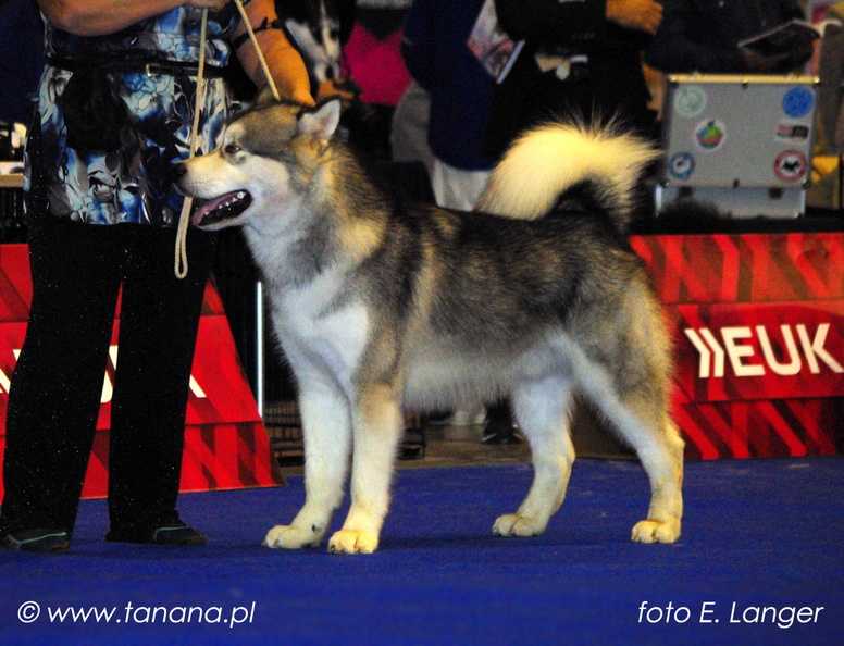 Patriot ot Filippovoy