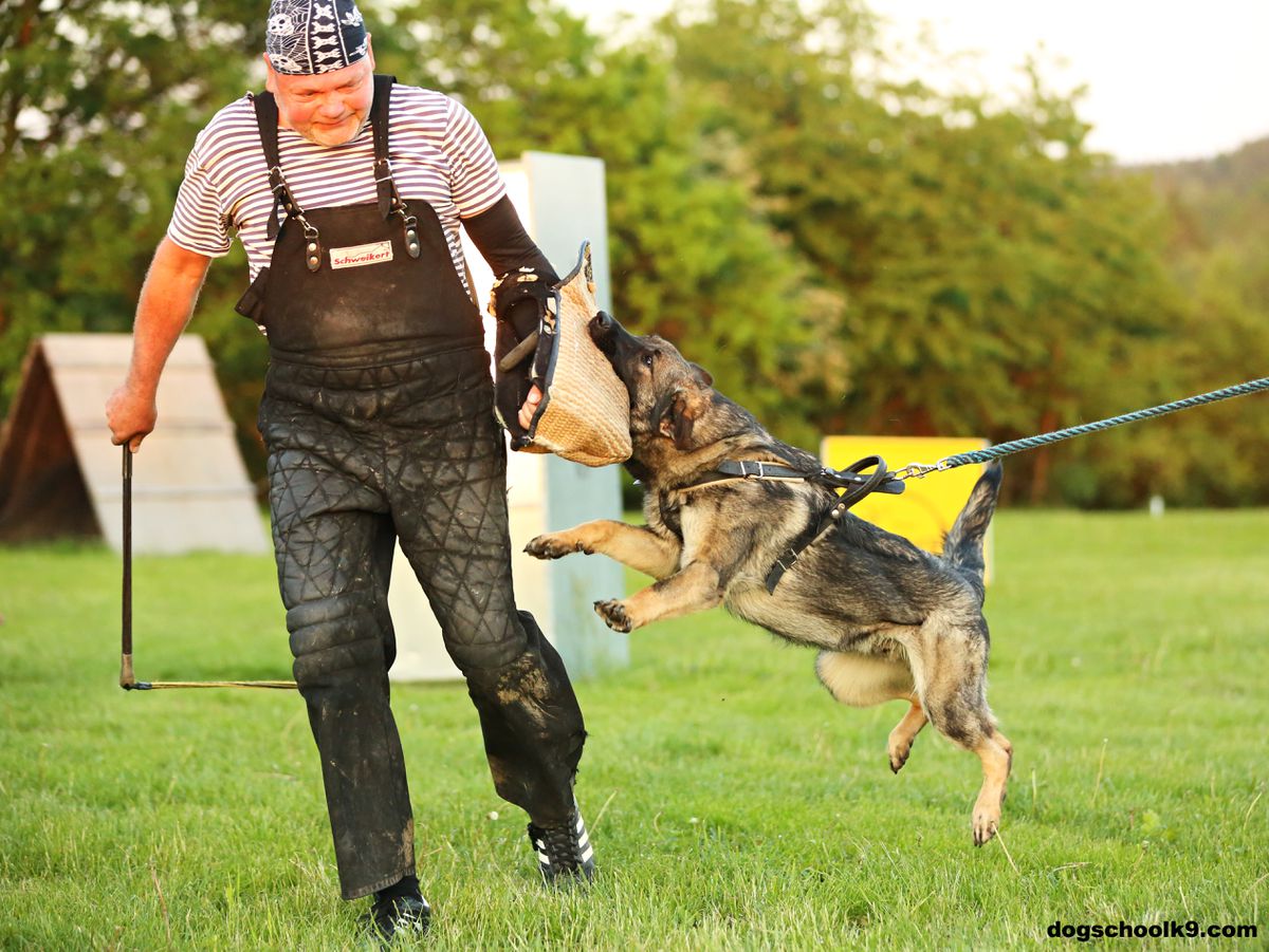 Napalm European K9 training base