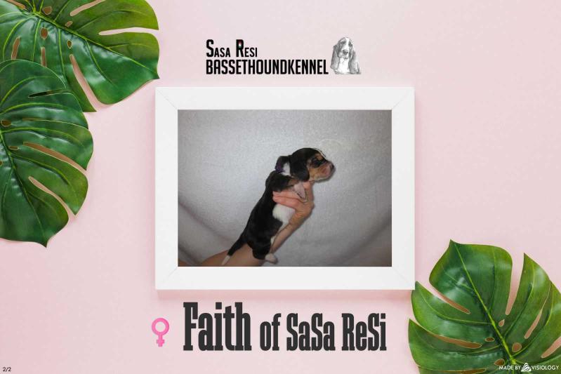 Faith of Sasa Resi