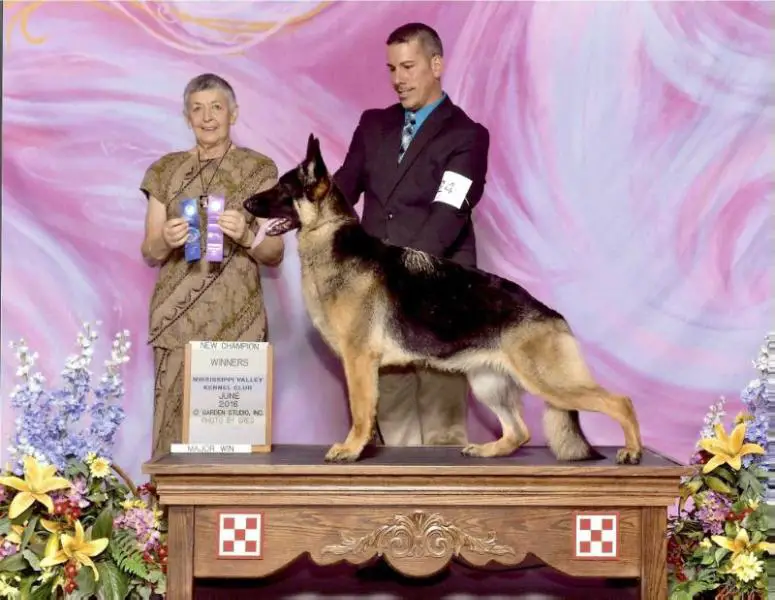 GCH Hillside-Tanbark Locket Charboderouse of Faithrock