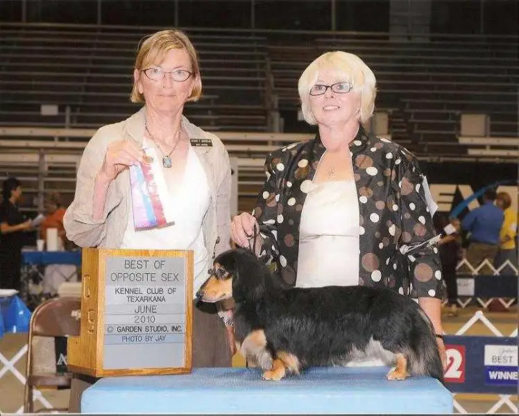 Grace Acre Dreamin Of Brogan