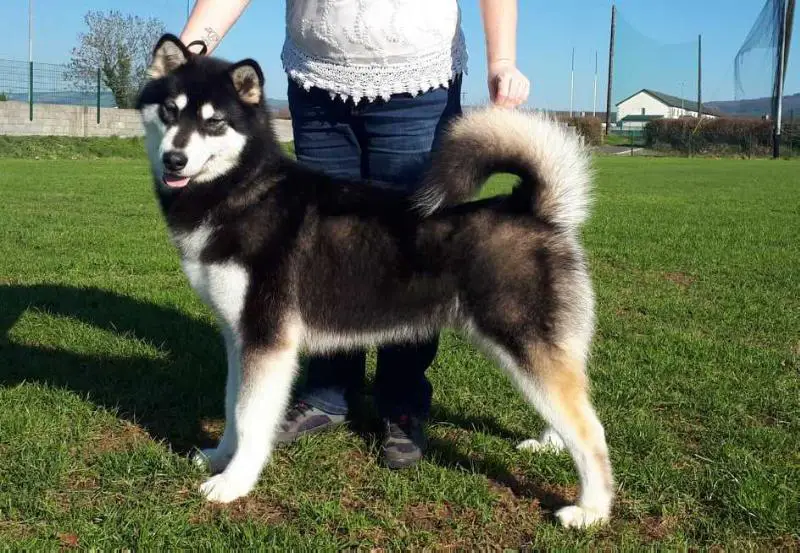 Lueldar Bring The Starz Out with Oakiok