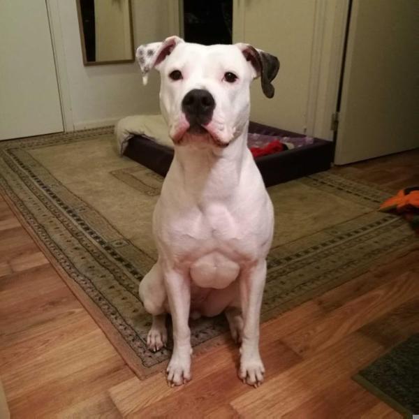 Silver Mountains Peggy