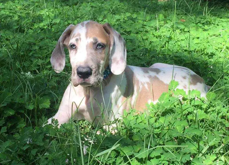 ARR Stylish Pornstar At Swampside