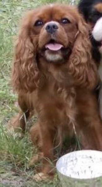 Ava Is Ready For A Party