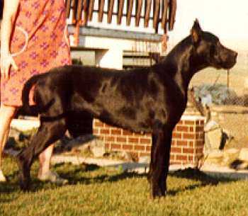 Zita Velan