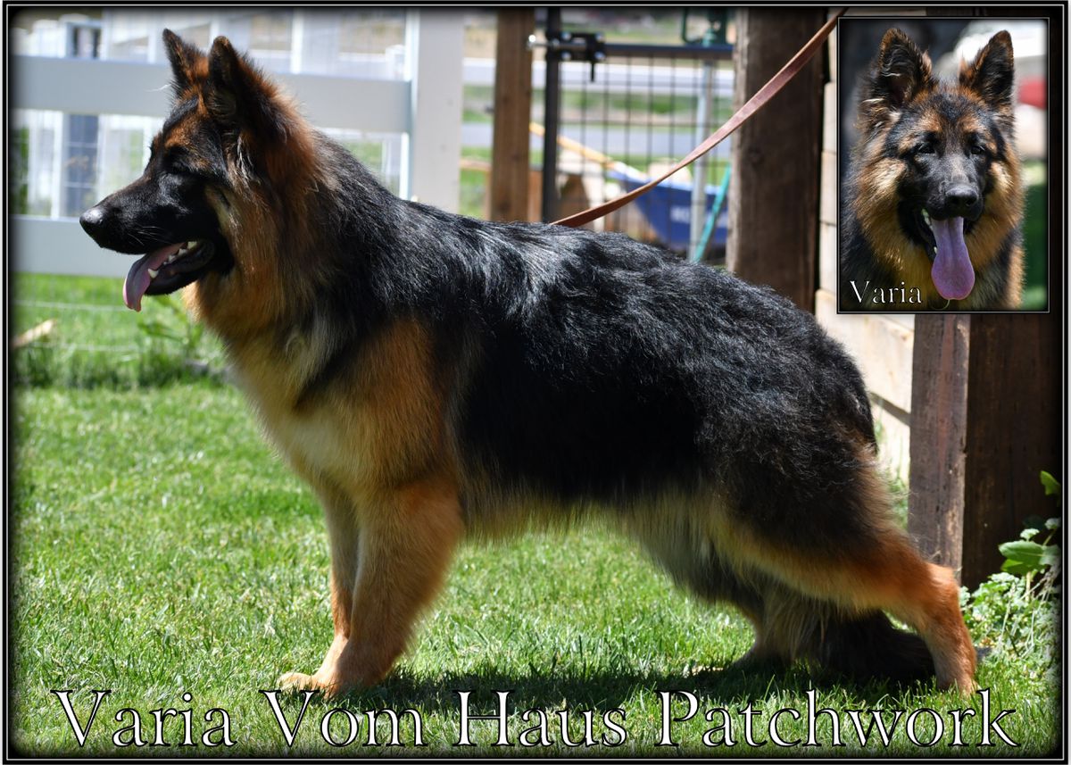 Varia Vom Haus Patchwork