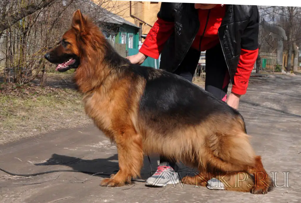 Zilber Wasserfall KEJKO