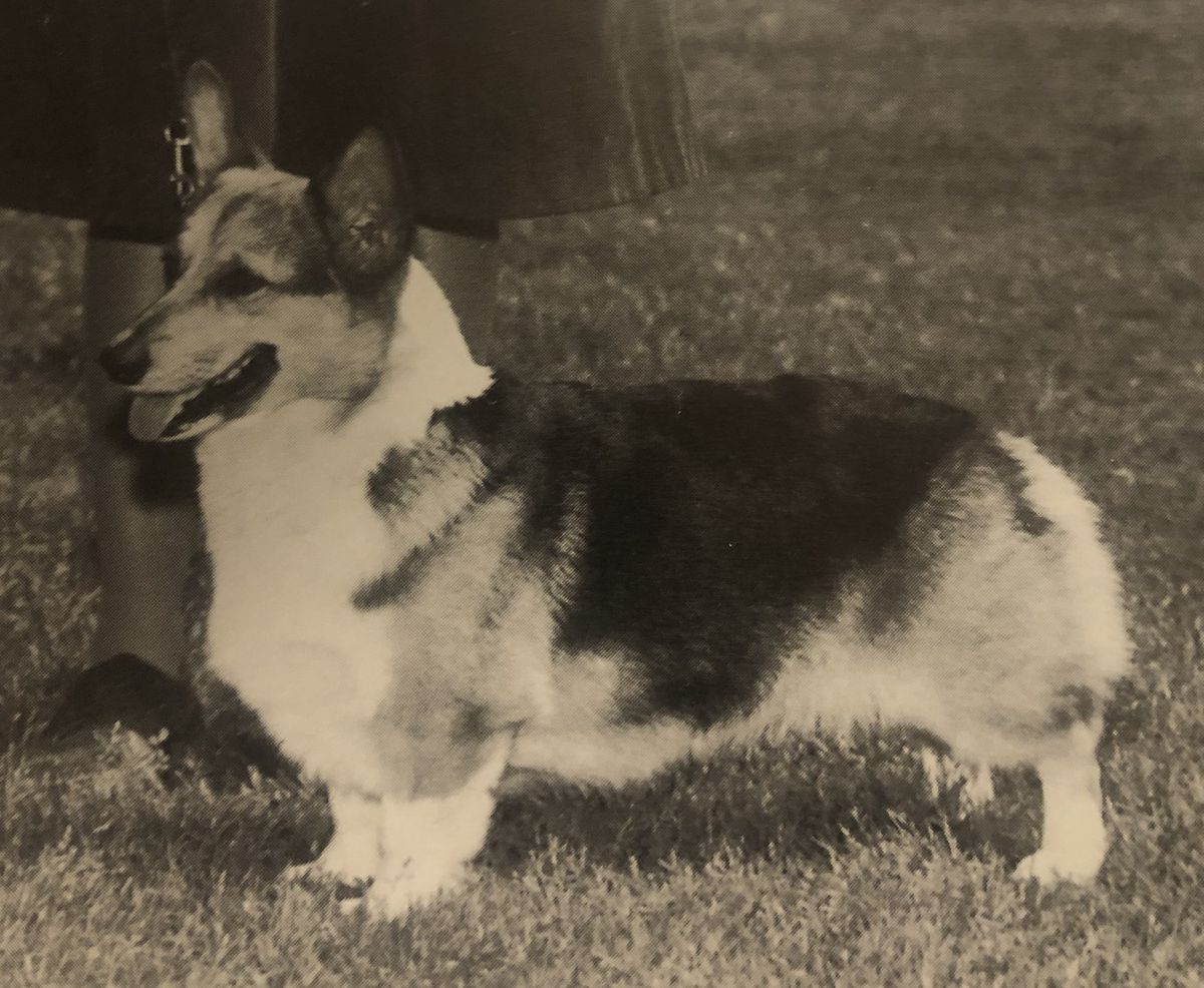 CH Oakbar Run For The Roses