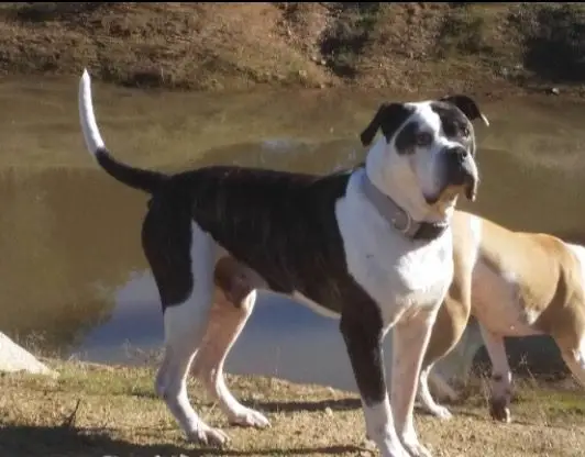 Ratilainen's Zeus of Hercules