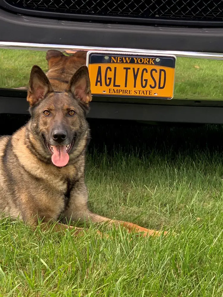 Yettie vom Sitz von der Hose