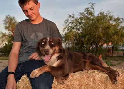 Freestyle Tennessee Whiskey