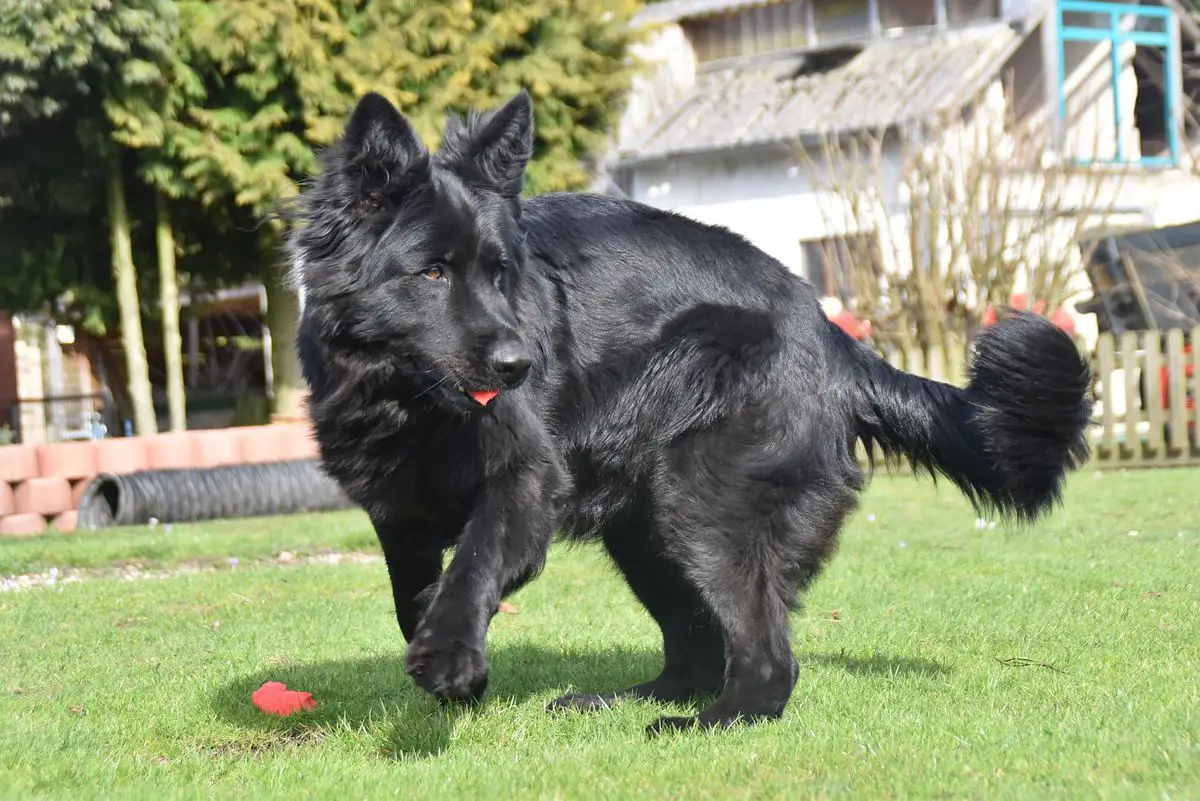 Riona Aika vom Altdeutschen Eck