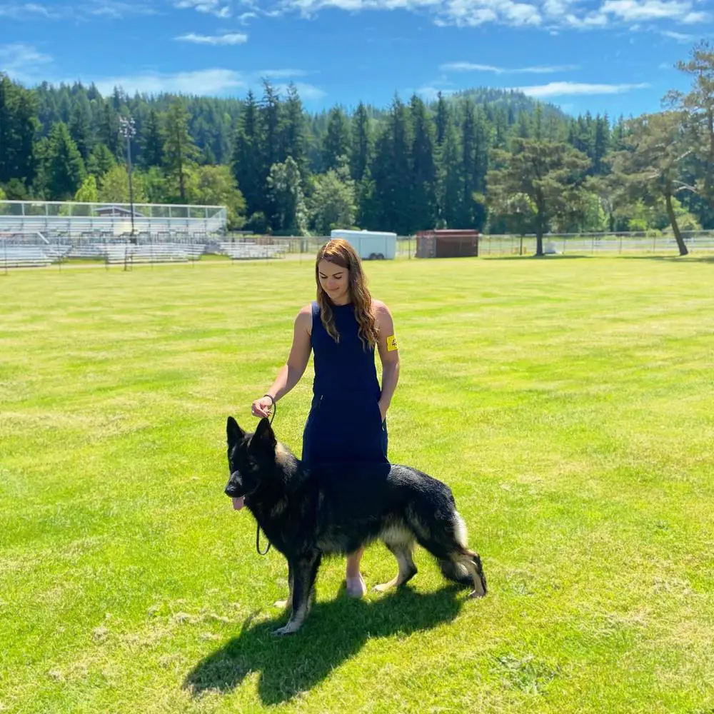 NatCH Azegan v Seelenfeuer