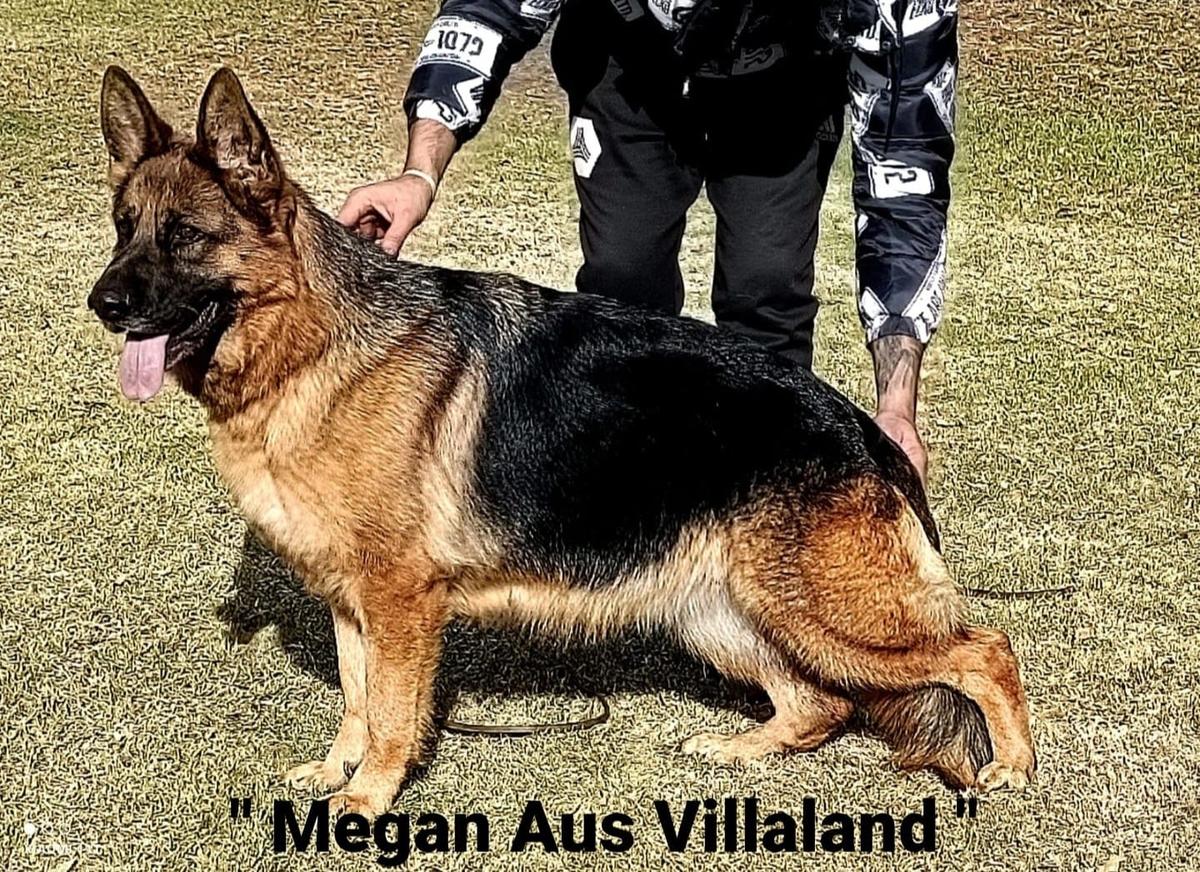 Megan Aus Villaland