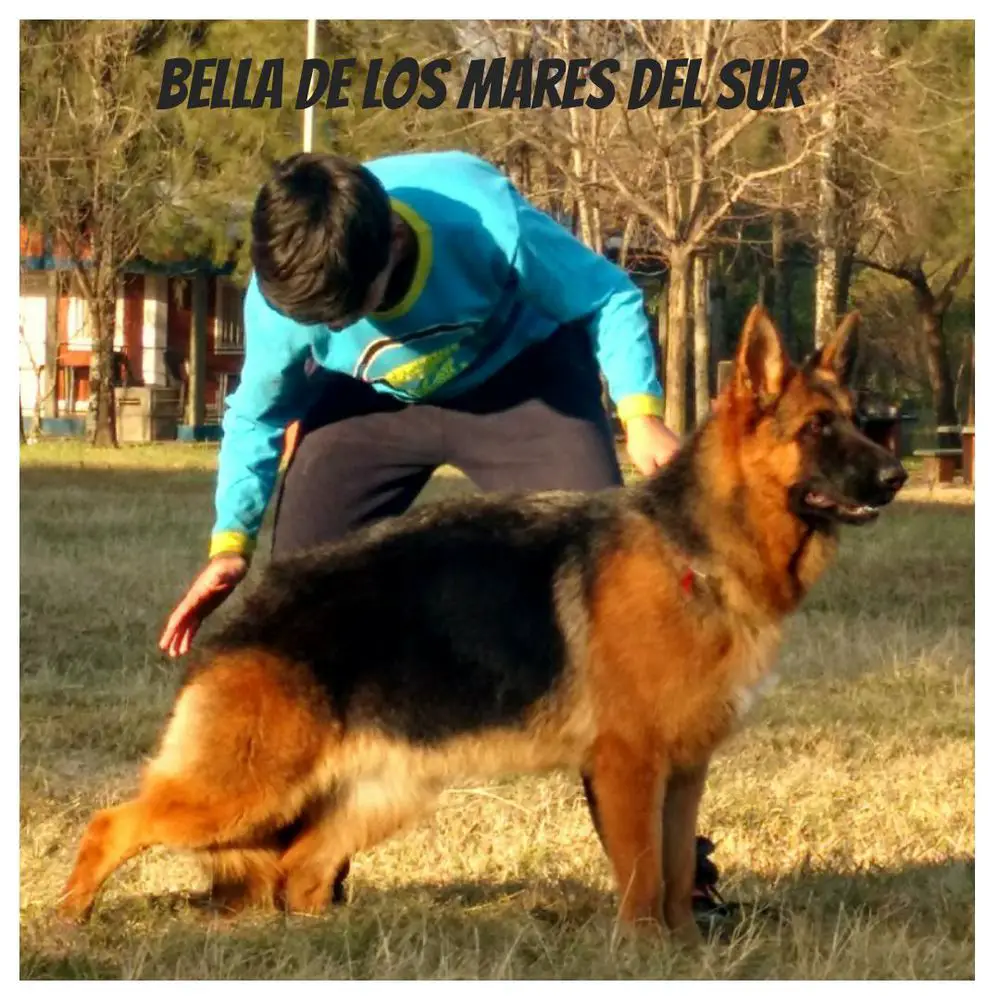 Bella De Los Mares Del Sur